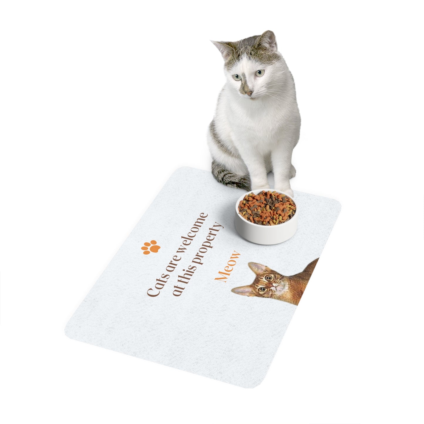 Pet Food Mat (12x18)