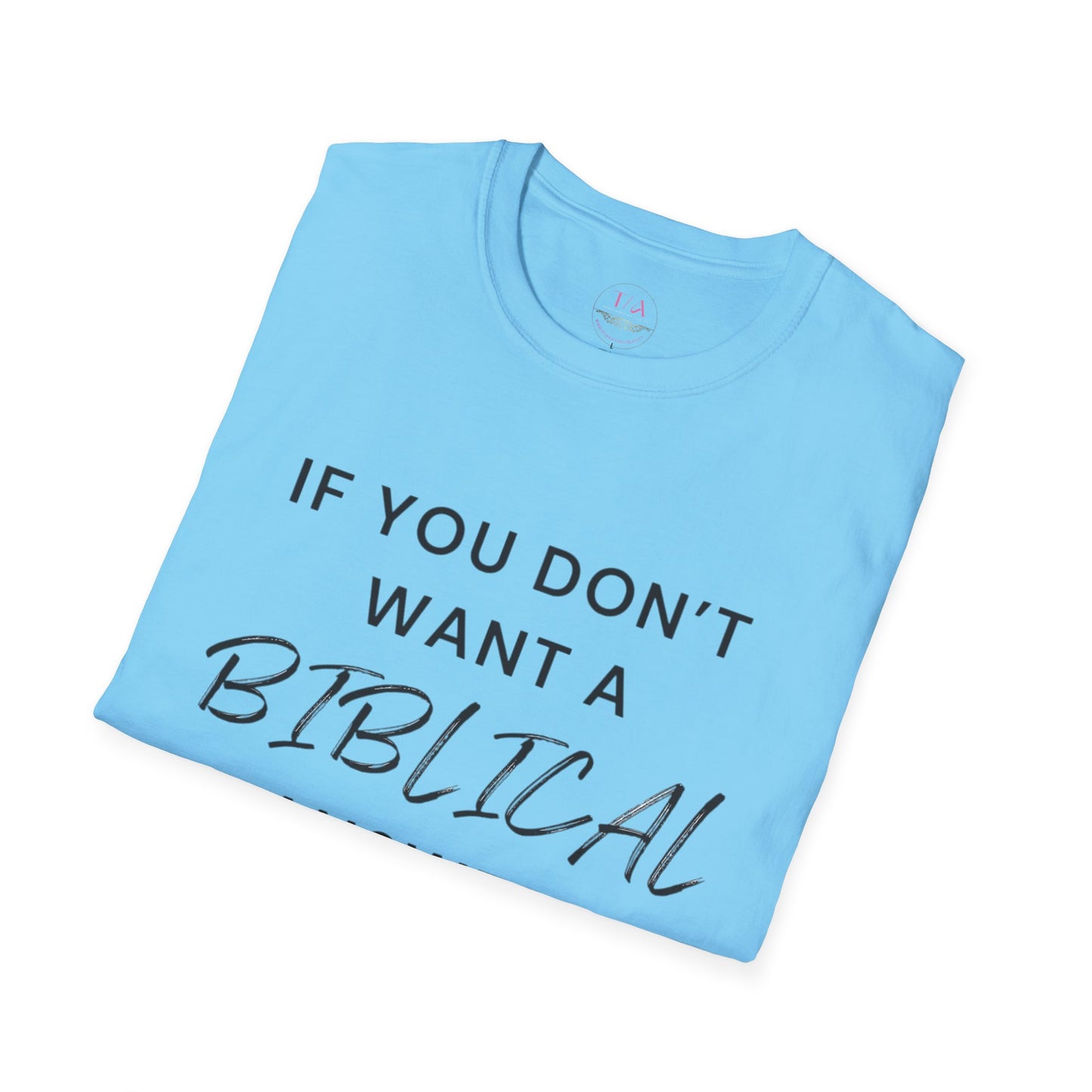 Biblical Answer Unisex Softstyle T-Shirt